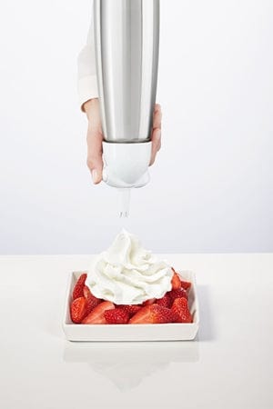 Easy Whip Stainless Steel Cream Whipper 0.5L